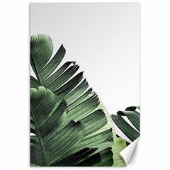 Banana Leaves Canvas 24  X 36  by goljakoff