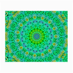Greenspring Small Glasses Cloth by LW323