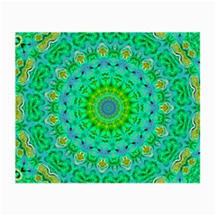 Greenspring Small Glasses Cloth (2 Sides) by LW323