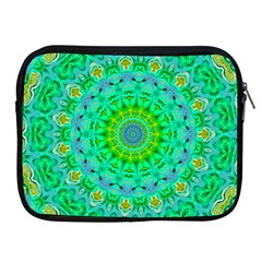 Greenspring Apple Ipad 2/3/4 Zipper Cases by LW323