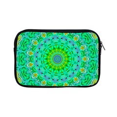 Greenspring Apple Ipad Mini Zipper Cases by LW323