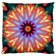 Passion Flower Standard Flano Cushion Case (one Side) by LW323