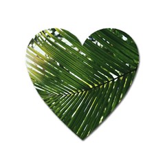 Relaxing Palms Heart Magnet by LW323