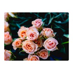 Sweet Roses Double Sided Flano Blanket (mini)  by LW323