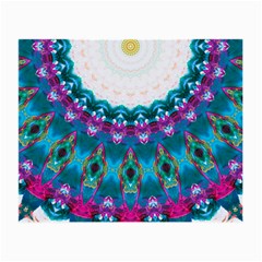 Peacock Small Glasses Cloth by LW323