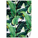 Banana leaves Canvas 20  x 30  19.62 x28.9  Canvas - 1