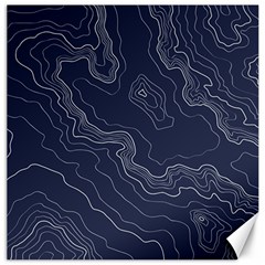 Topography Map Canvas 20  X 20  by goljakoff