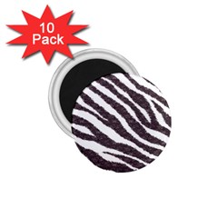 Zebra 1 75  Magnets (10 Pack)  by PollyParadise