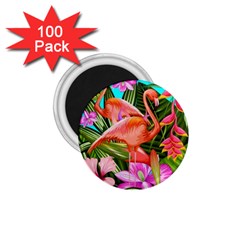 Exotisme 1 75  Magnets (100 Pack) 