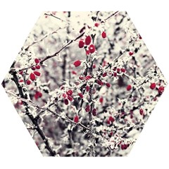 Berries In Winter, Fruits In Vintage Style Photography Wooden Puzzle Hexagon by Casemiro