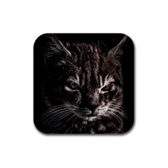 Creepy Kitten Portrait Photo Illustration Rubber Square Coaster (4 pack) 