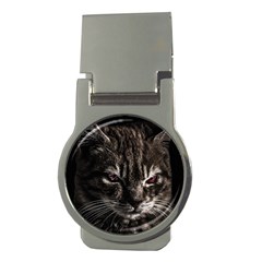 Creepy Kitten Portrait Photo Illustration Money Clips (Round) 