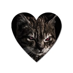 Creepy Kitten Portrait Photo Illustration Heart Magnet