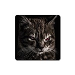 Creepy Kitten Portrait Photo Illustration Square Magnet Front