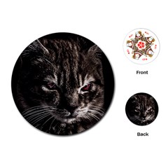 Creepy Kitten Portrait Photo Illustration Playing Cards Single Design (Round)