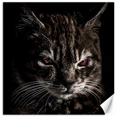 Creepy Kitten Portrait Photo Illustration Canvas 12  X 12  by dflcprintsclothing