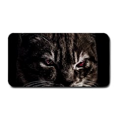 Creepy Kitten Portrait Photo Illustration Medium Bar Mats by dflcprintsclothing