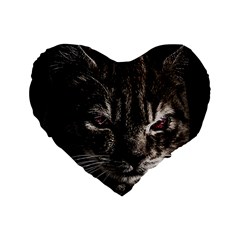 Creepy Kitten Portrait Photo Illustration Standard 16  Premium Flano Heart Shape Cushions