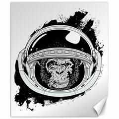 Spacemonkey Canvas 20  x 24 