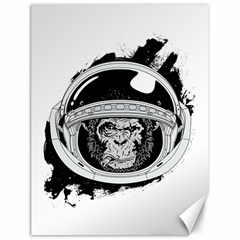 Spacemonkey Canvas 18  X 24  by goljakoff