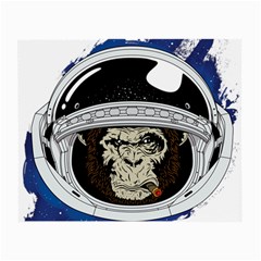 Spacemonkey Small Glasses Cloth by goljakoff