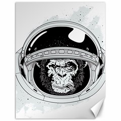 Spacemonkey Canvas 12  X 16  by goljakoff