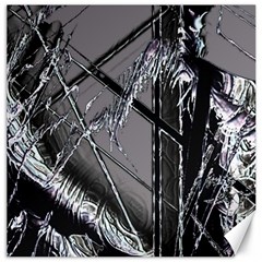 Ag Cobwebs Canvas 12  X 12  by MRNStudios