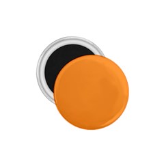 Deep Saffron Orange 1 75  Magnets by FabChoice
