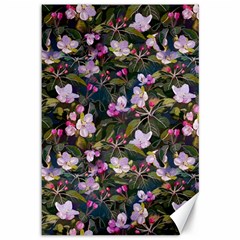 Apple Blossom  Canvas 12  X 18  by SychEva