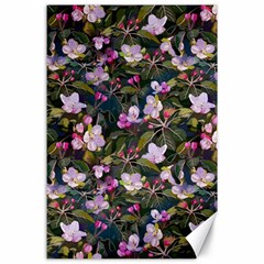 Apple Blossom  Canvas 24  X 36  by SychEva