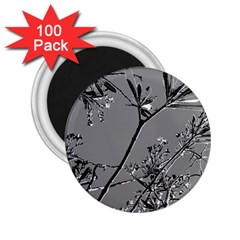Grey Colors Flowers And Branches Illustration Print 2 25  Magnets (100 Pack)  by dflcprintsclothing