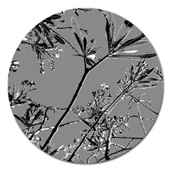 Grey Colors Flowers And Branches Illustration Print Magnet 5  (round) by dflcprintsclothing