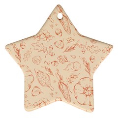 Thanksgiving Flowers And Gifts Pattern Star Ornament (two Sides) by DinzDas