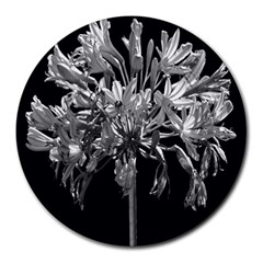 Black And White Lilies Botany Motif Print Round Mousepads by dflcprintsclothing