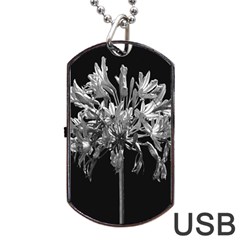 Black And White Lilies Botany Motif Print Dog Tag Usb Flash (two Sides) by dflcprintsclothing