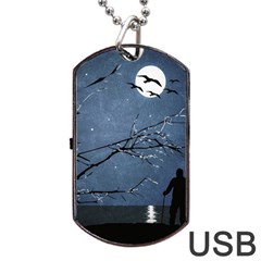 Full Moon Landscape Scene Illustration Dog Tag Usb Flash (two Sides) by dflcprintsclothing