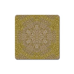 Pearls With A Beautiful Luster And A Star Of Pearls Square Magnet by pepitasart