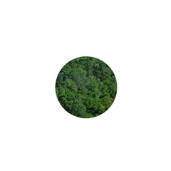 Leafy Forest Landscape Photo 1  Mini Magnets by dflcprintsclothing