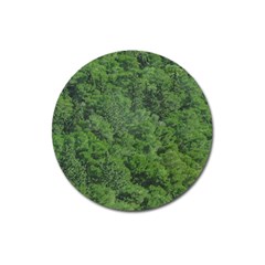 Leafy Forest Landscape Photo Magnet 3  (round) by dflcprintsclothing