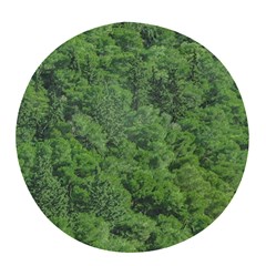 Leafy Forest Landscape Photo Pop Socket by dflcprintsclothing