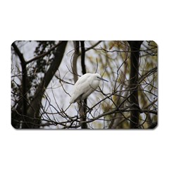 White Egret Magnet (rectangular) by SomethingForEveryone