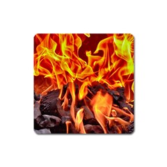 Fire-burn-charcoal-flame-heat-hot Square Magnet by Sapixe