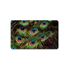 Peacock-feathers-plumage-pattern Magnet (name Card)