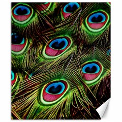 Peacock-feathers-plumage-pattern Canvas 20  X 24  by Sapixe