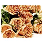 Roses-flowers-bouquet-rose-bloom Double Sided Flano Blanket (Medium)  60 x50  Blanket Back