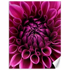 Dahlia-flower-purple-dahlia-petals Canvas 18  X 24  by Sapixe