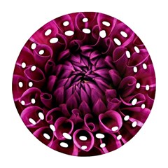 Dahlia-flower-purple-dahlia-petals Ornament (round Filigree) by Sapixe