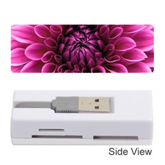 Dahlia-flower-purple-dahlia-petals Memory Card Reader (stick)