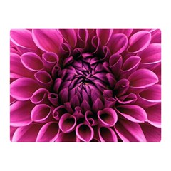 Dahlia-flower-purple-dahlia-petals Double Sided Flano Blanket (mini) 