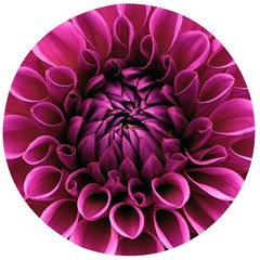 Dahlia-flower-purple-dahlia-petals Wooden Bottle Opener (round)